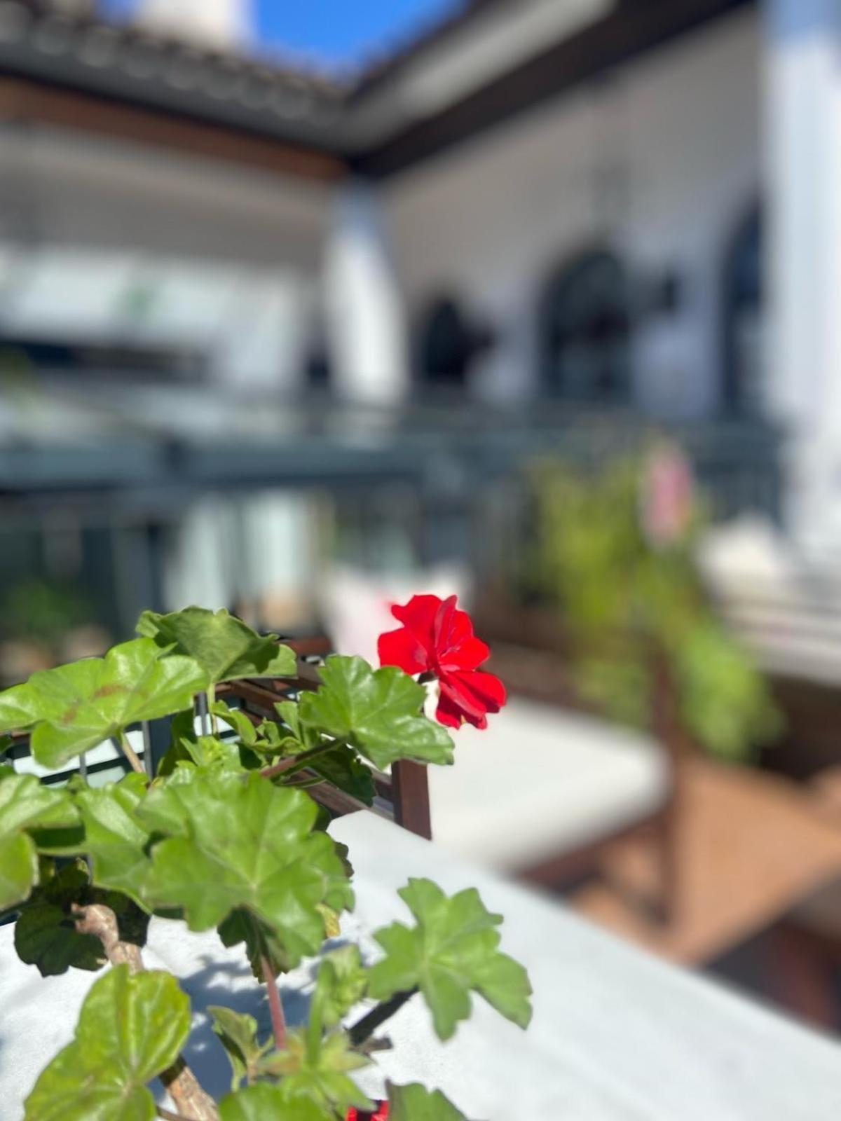 La Gitanilla Alojamiento & Encanto Jerez Jerez de la Frontera Ngoại thất bức ảnh